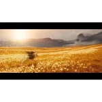 کد بازی Ghost of Yotei برای PS5 - اروپا