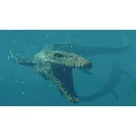 بازی Jurassic World Evolution 2 برای PS4