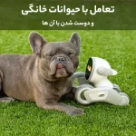 ربات هوشمند لونا Loona Pet Robot با داک شارژ