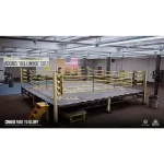 بازی PlayStation VR Creed Rise to Glory برای PS4