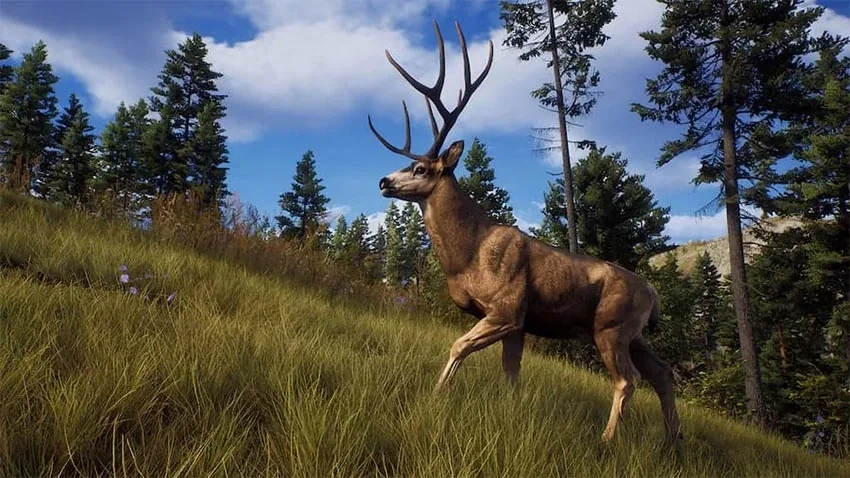 بازی Way Of The Hunter برای PS5 - تصویر معرفی 3